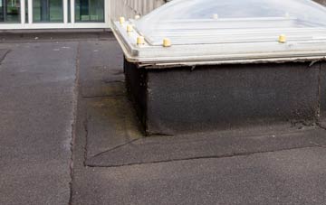 disadvantages of Domgay flat roofs