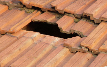 roof repair Domgay, Powys