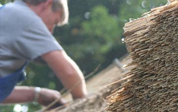 professional Domgay thatchers